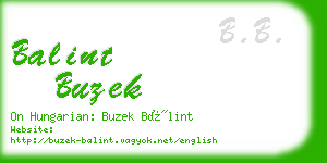 balint buzek business card